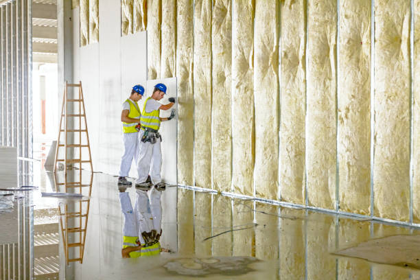 Types of Insulation We Offer in Nemacolin, PA